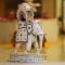 The Kothi Heritage