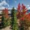 Town Plaza Suites by Golden Dreams - Whistler