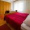 Apartment DARINKA 1