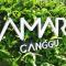 Amar Boutique Hotel
