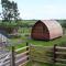 Larkworthy Farm Glamping Holiday Cabins - Ashwater