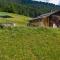 Chalet Berghaus Bartholomäberg