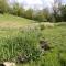 Gites Nature & Espace - Le puits des souhaits - 维勒迪厄雷波埃勒