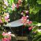 Le Windsor, Jungle Art Hotel