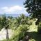 Vanira Lodge