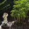 Dogwood Bed & Breakfast