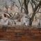 Peace@Kruger