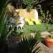 Guest House Provencal