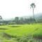 Suan Sook Homestay