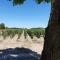 Domaine de Larchey photo 20
