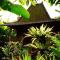 Bali Mountain Retreat