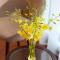 Muong Thanh Holiday Quang Binh Hotel