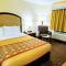 Travel Inn and Suites - Sikeston