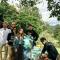 Jungle guest house