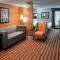 Holiday Inn Express & Suites Nashville Southeast - Antioch, an IHG Hotel - أنتيوك