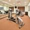 Holiday Inn Express & Suites Buford NE - Lake Lanier Area, an IHG Hotel - Buford