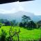 Noka Homestay