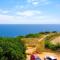 Algarpraia