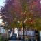 Village at York U