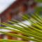 Managua Apart Hotel