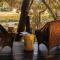 Pondoro Game Lodge - Rezervace Balule