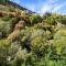 B&B IL GHIRO