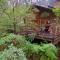Woodlands Rainforest Retreat Foto: Woodlands Rainforest Retreat