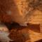 Acasamia