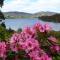 Donalea Bed and Breakfast & Riverview Apartment - Castle Forbes Bay