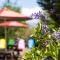 Julies Garden, Cingjing - Fon Chin Homestay