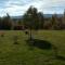 Molfar House