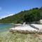 Foto: Apartments by the sea Prozurska Luka, Mljet - 616 17/18