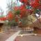 le baobab de nianing