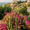 Hotel Villaggio Stromboli - Santa Domenica