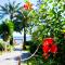 Globales Gardenia