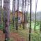 La maison sous les arbres - Saint Roch de Mekinac