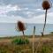 Shorefield country Park, where the New Forest meets The Sea, passes for all entertainment included