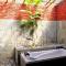 Cempaka Borobudur Guest House