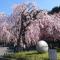 Hotel Sardonyx Ueno
