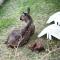 Susitna Place B&B