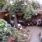 Oazis Family Hotel
