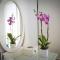 Bio B&B Vivere la Vita