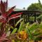 Hibiscus Valley Inn - Marigot