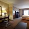 Holiday Inn Express & Suites Del Rio, an IHG Hotel