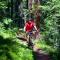 Holiday Inn Express Hotel & Suites Fraser Winter Park Area by IHG