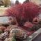 Travelodge by Wyndham Elko NV