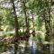 Waterwheel Retreat