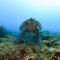 Odyssey Divers Hostel
