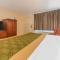 Econo Lodge Downtown - Louisville