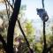 Wildlife Retreat at Taronga